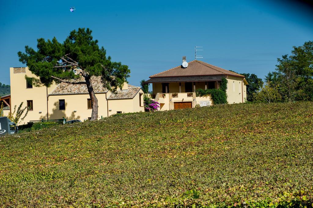 Masseria Del Vino Loreto Aprutino Eksteriør billede