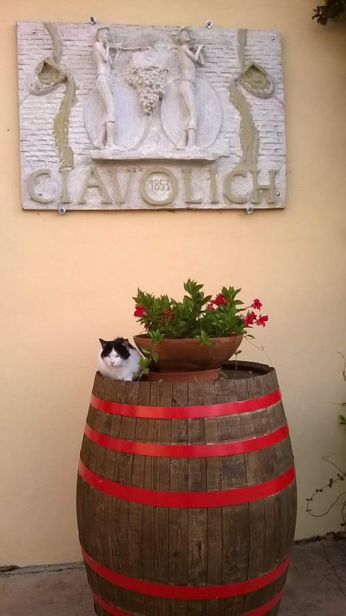 Masseria Del Vino Loreto Aprutino Eksteriør billede