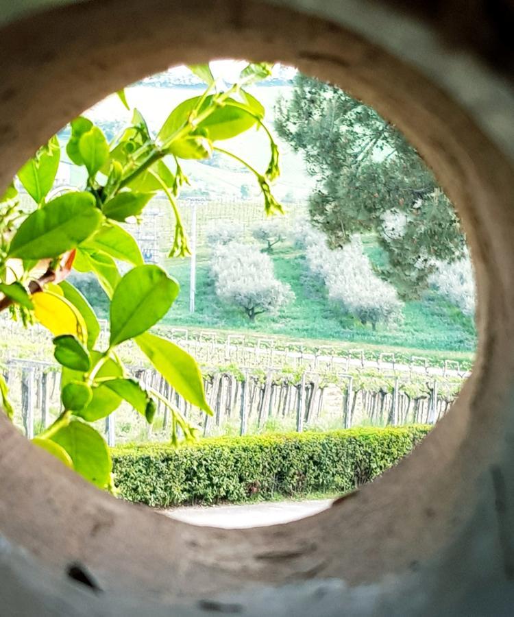 Masseria Del Vino Loreto Aprutino Eksteriør billede
