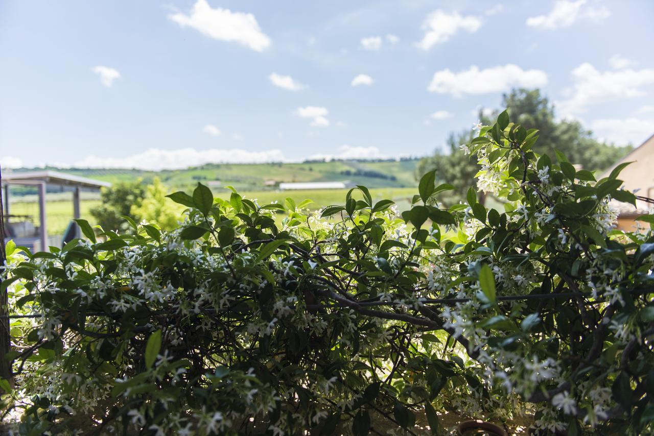 Masseria Del Vino Loreto Aprutino Eksteriør billede